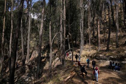 La gente realiza una caminata en el Bosquecillo de Pura Pura, en La Paz, Bolivia, el martes 19 de octubre de 2021. El parque, que permite a las personas quitarse las máscaras, comercializa una "ruta de oxigenación" a los sobrevivientes de COVID-19, así como al público en general, para promover la respiración de aire fresco, la relajación y la conexión con la naturaleza. (AP Foto/Juan Karita)