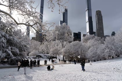 La gente se reúne en Central Park después de la nevada