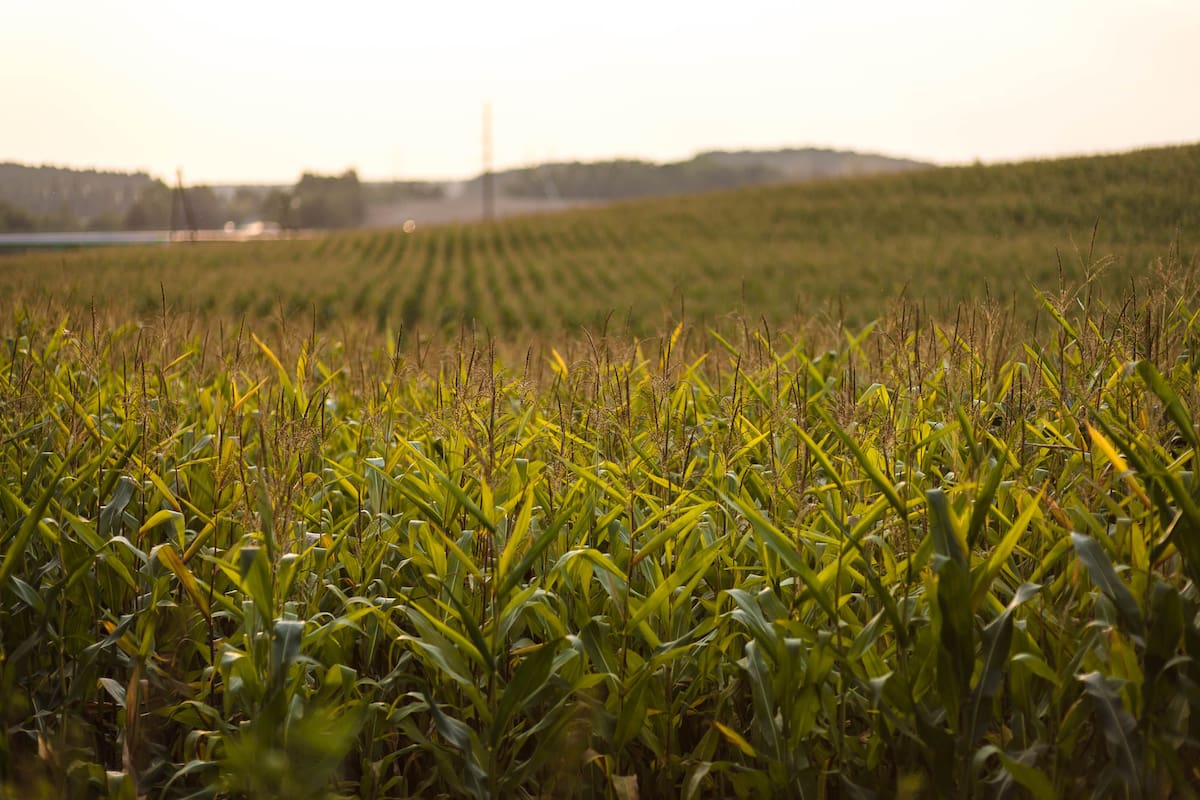 La gestión de la producción se mejora con el conocimiento de la variabilidad