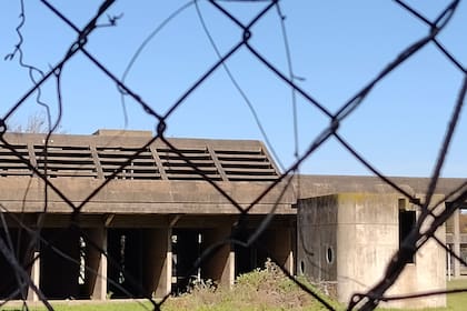La gestión del físico Pablo Bolcatto trabaja por recuperar el misterioso edificio H y quitarle su manto de misterio