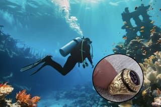 La Gran Barrera de Coral corre riesgo de "colapso", alertan científicos