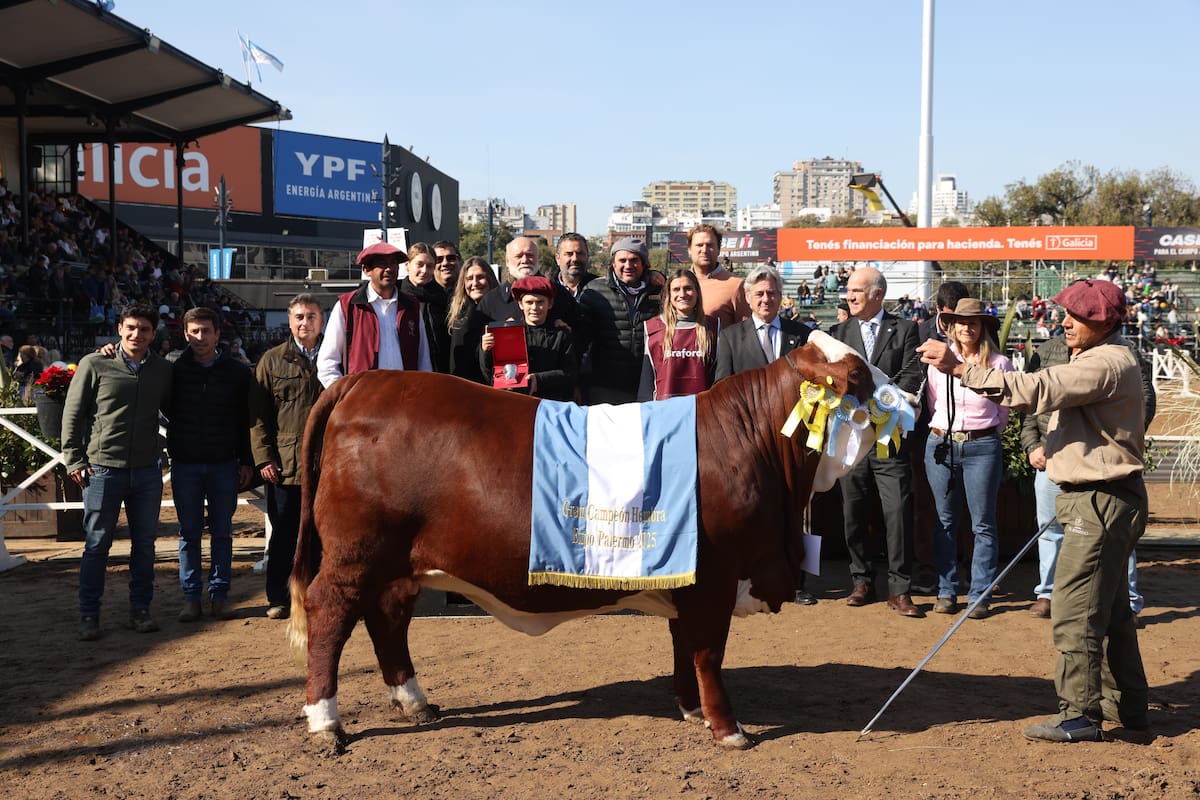 La Gran Campeón Hembra de la raza Braford fue “Martina”, una vaquillona del box 721, presentada por la cabaña El Amargo, ubicada en el norte de la provincia de Santa Fe, de Eduardo Martínez Ferrario, Don Nicasio de RL, Goicoechea y La Doro de Fedhec