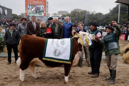 La Gran Campeón Hembra de la raza Hereford fue para e el box 1127 de la cabaña Las Tranqueras, de Horacio La Valle y Marta Vila Moret