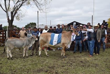 La Gran Campeón Hembra fue para el box 27, una vaquillona con cría al pie de la cabaña Los Yeyos, de la provincia de Formosa