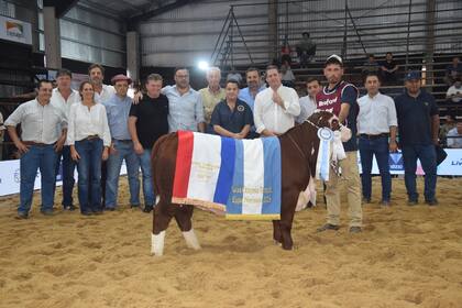 La Gran Campeón Ternera a bozal de la raza Braford fue para el box 8, de cabaña La Dominga, que llegó desde Ischilín, Córdoba