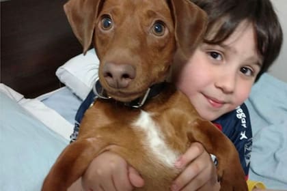 La gran compañía de Stefano es su mascota: un perro salchicha convencido de ser un dogo argentino.