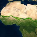El plan que tienen 11 países de África para frenar el avance del desierto del Sahara