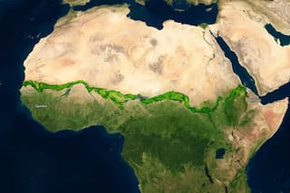 El plan que tienen 11 países de África para frenar el avance del desierto del Sahara
