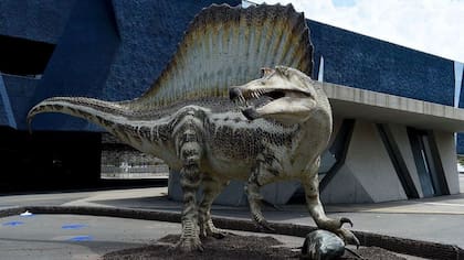 La gran vela dorsal del espinosaurio es una de las "estructuras estrambóticas" que los dinosaurios pudieron haber desplegado para atraer a parejas