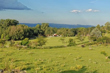 La Granadilla está a 1.100 metros de altura, en medio de un bosque forestado en 1920.