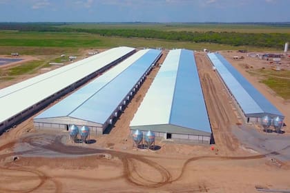 La granja de la empresa en Noetinger