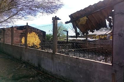 La granja del productor