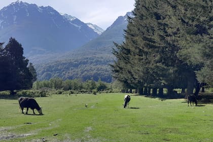 La granja está abierta para que los visitantes la puedan conocer