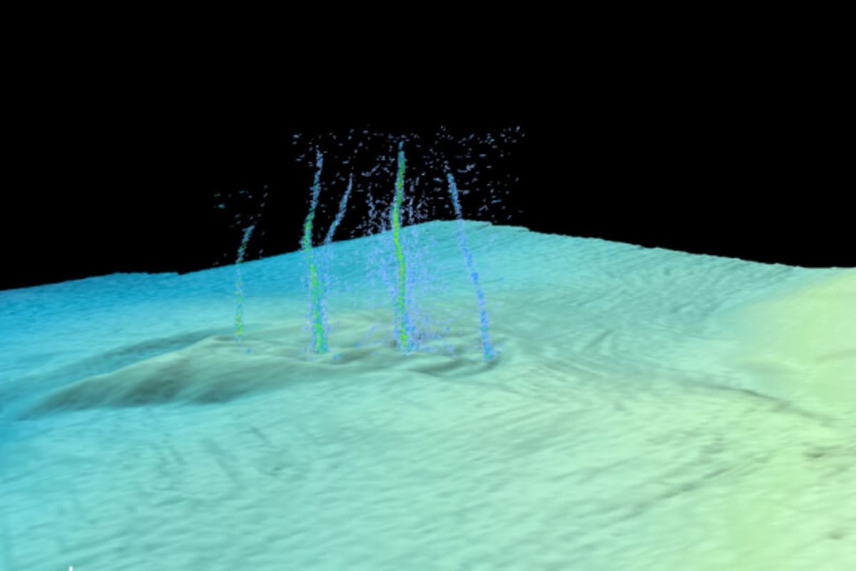 La grieta marina se ubica a 80 kilómetros de la costa de Oregon, en la subducción de Cascadia