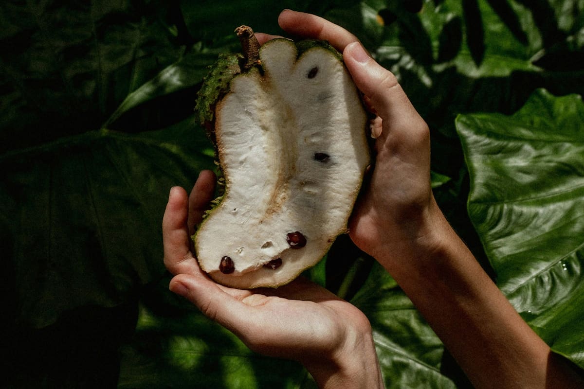 La guanábana se ganó un lugar destacado en el universo de la alimentación saludable