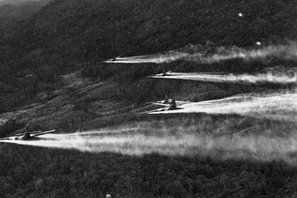 La guerra de Vietnam terminó hace 50 años, pero la lucha contra el Agente Naranja continúa