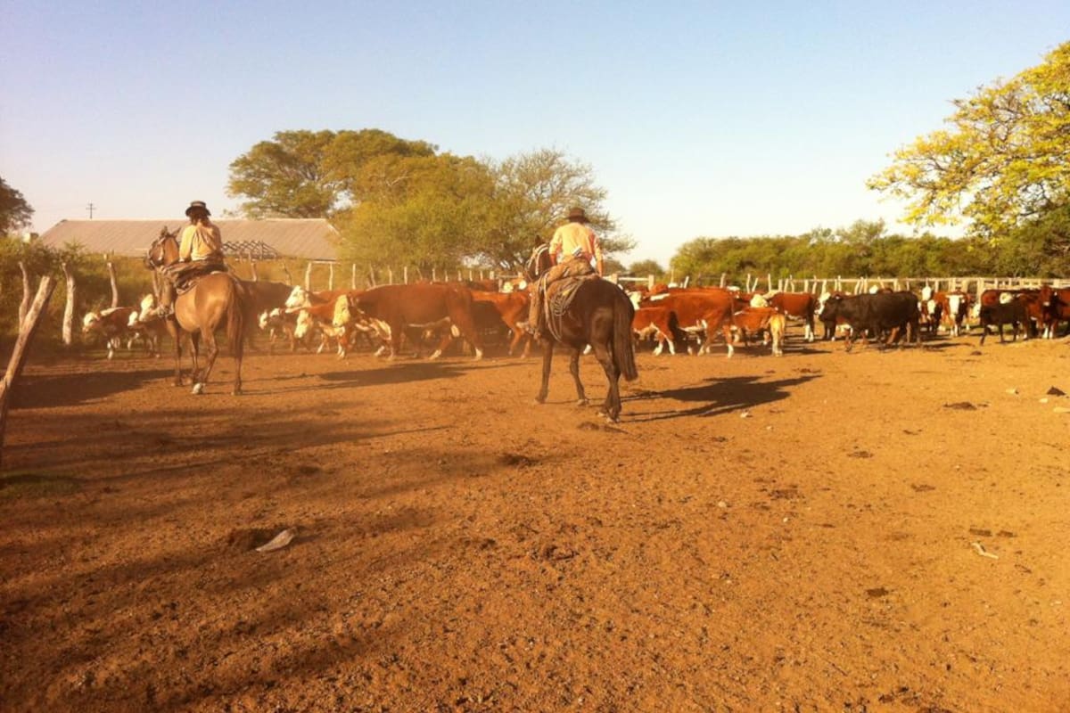 La hacienda de Landver cuando todavía se encontraba en el campo Buena Vista, de su propiedad en el departamento correntino de Curuzú Cuatiá