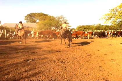 La hacienda de Landver cuando todavía se encontraba en el campo Buena Vista, de su propiedad en el departamento correntino de Curuzú Cuatiá