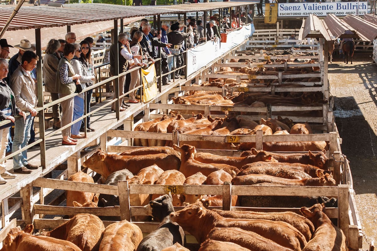 La hacienda se negoció con subas en el mercado