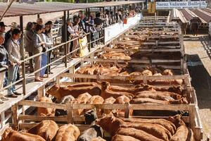 La hacienda se negoció con subas en el mercado