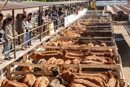 La hacienda se negoció con subas en el mercado