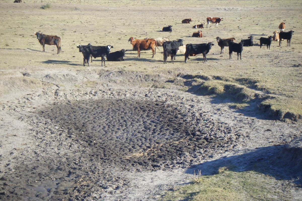 La hacienda, sin agua, en un campo del norte de Santa Fe