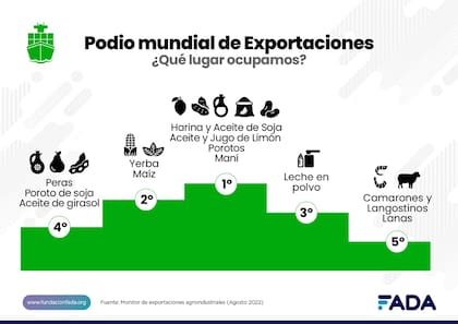 La harina, aceite de soja, aceites, jugo de limón, porotos y maní entre los primeros lugares en el podio de las exportaciones del agro