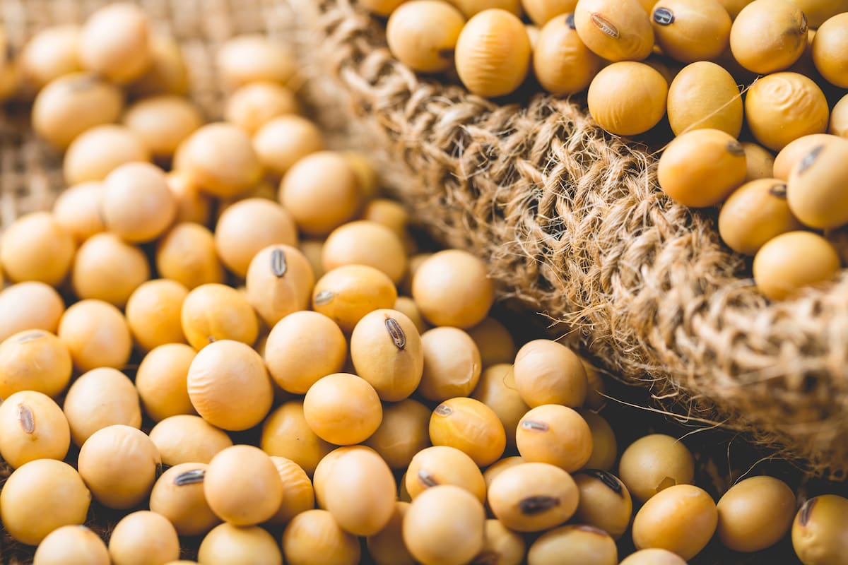 La harina de soja ya se exportó bajo los nuevos parámetros