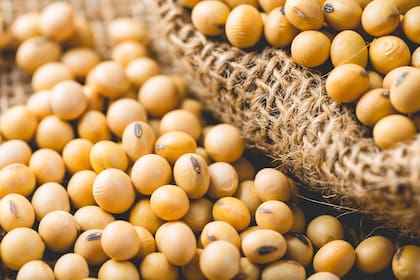 La harina de soja ya se exportó bajo los nuevos parámetros