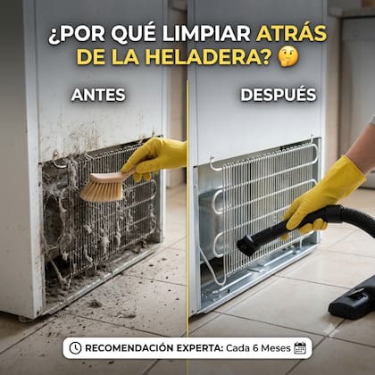 La heladera debe limpiarse una vez al año y en casos de mayor suciedad cada seis meses