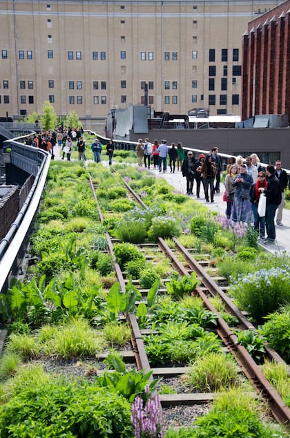 La High Line es una antigua vía de tren convertida en un paseo verde y elevado