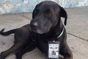 La historia conmovió a los internautas, que agradecen a la terminal de buses