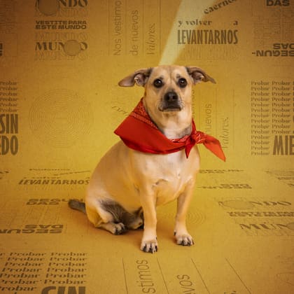 La historia de Bunki inspiró a Julieta a dar forma a una campaña sobre segundas oportunidades.