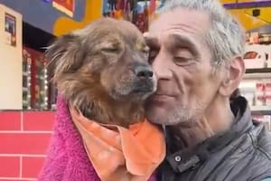 La historia de Dani y Akira conmovió a todos en redes sociales (Captura: @tomasrossok)