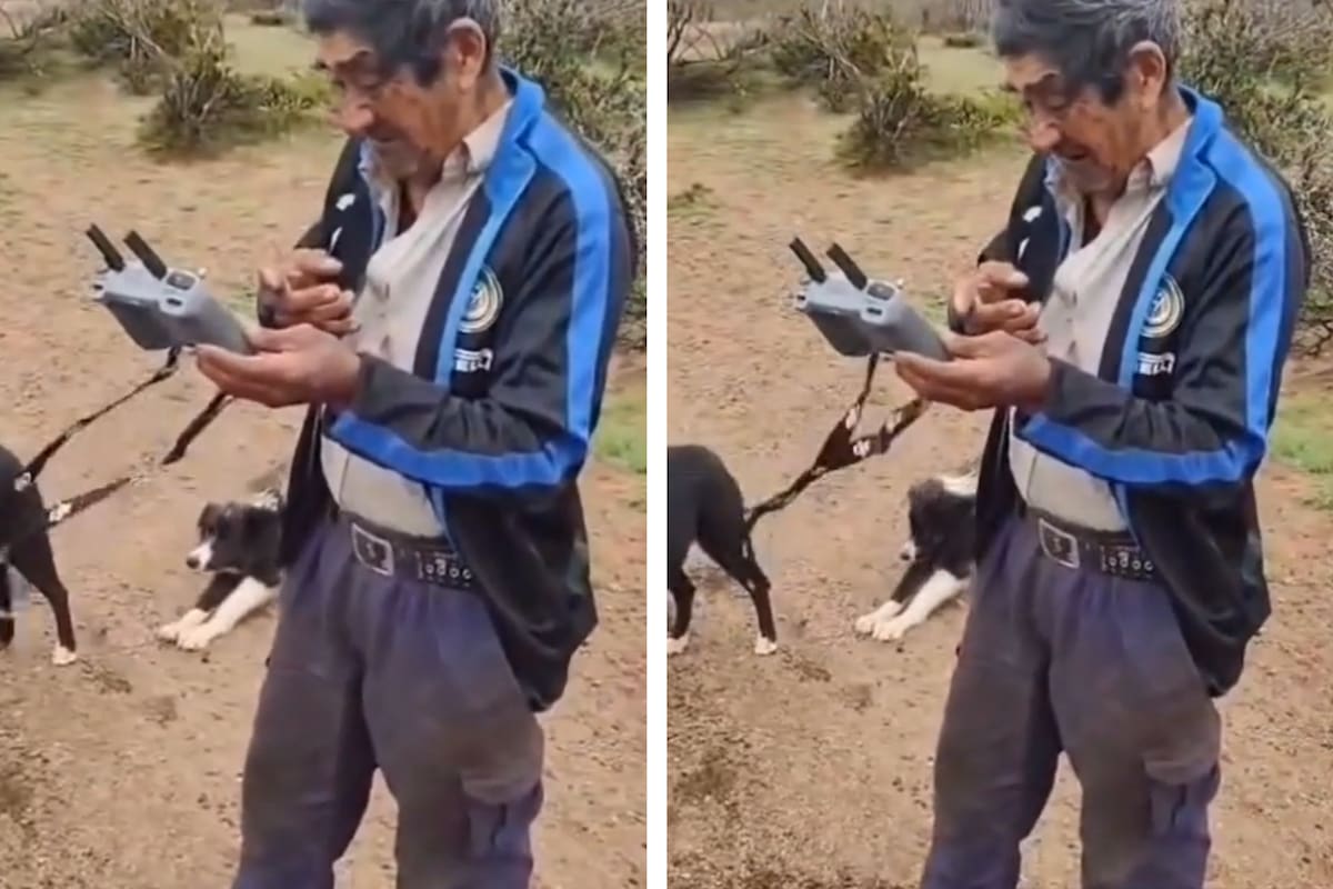 La historia de Don Pascual, quien perdió a sus 60 chivas y las encontró con un dron