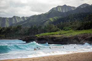 La historia de Hawái está bajo la lupa nuevamente (Foto Unsplash)