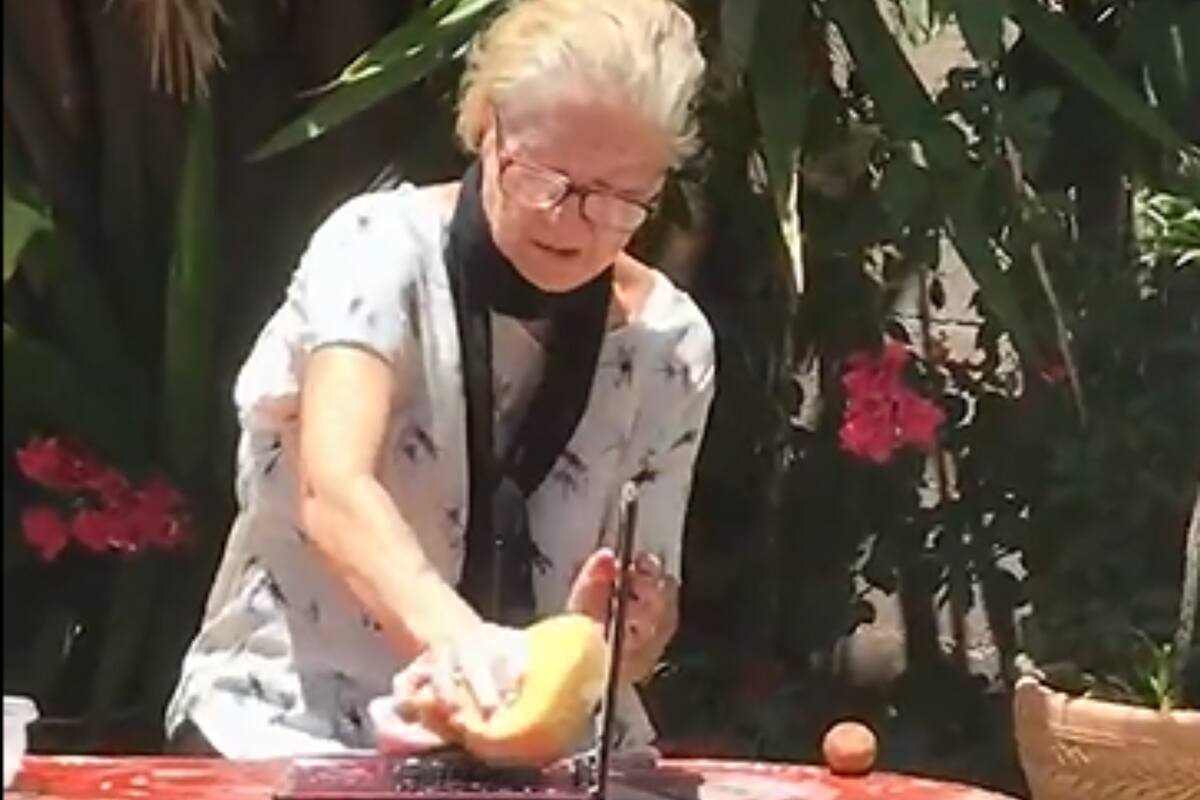 La historia de la abuela que quiso eliminar los virus de una notebook con una esponja