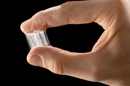 La historia de la humanidad es sorprendentemente pegajosa.