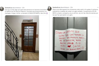 La historia de los gatos que habitan en un edificio se viralizó en redes sociales (Captura Twitter)