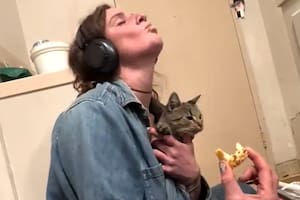 La historia de Norman y la gatita conmovió a todos en redes sociales (Captura: The Dodo)