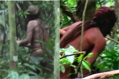 La historia de Tanaru, el hombre que vivió en el Amazonas durante 26 años