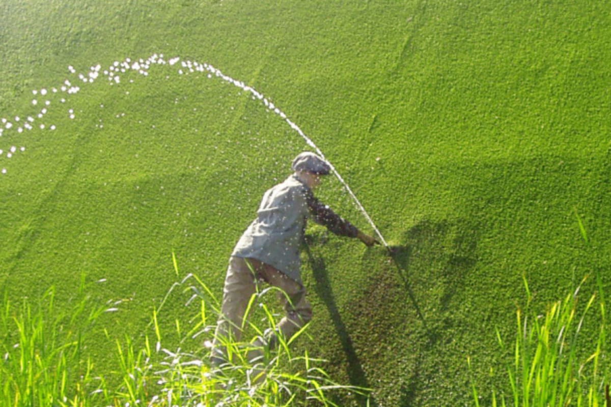 La historia del niño neerlandés que salvó de una inundación a los Países Bajos al tapar una fuga con su dedo
