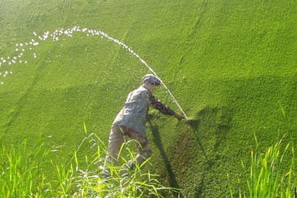 La historia del niño neerlandés que salvó de una inundación a los Países Bajos al tapar una fuga con su dedo