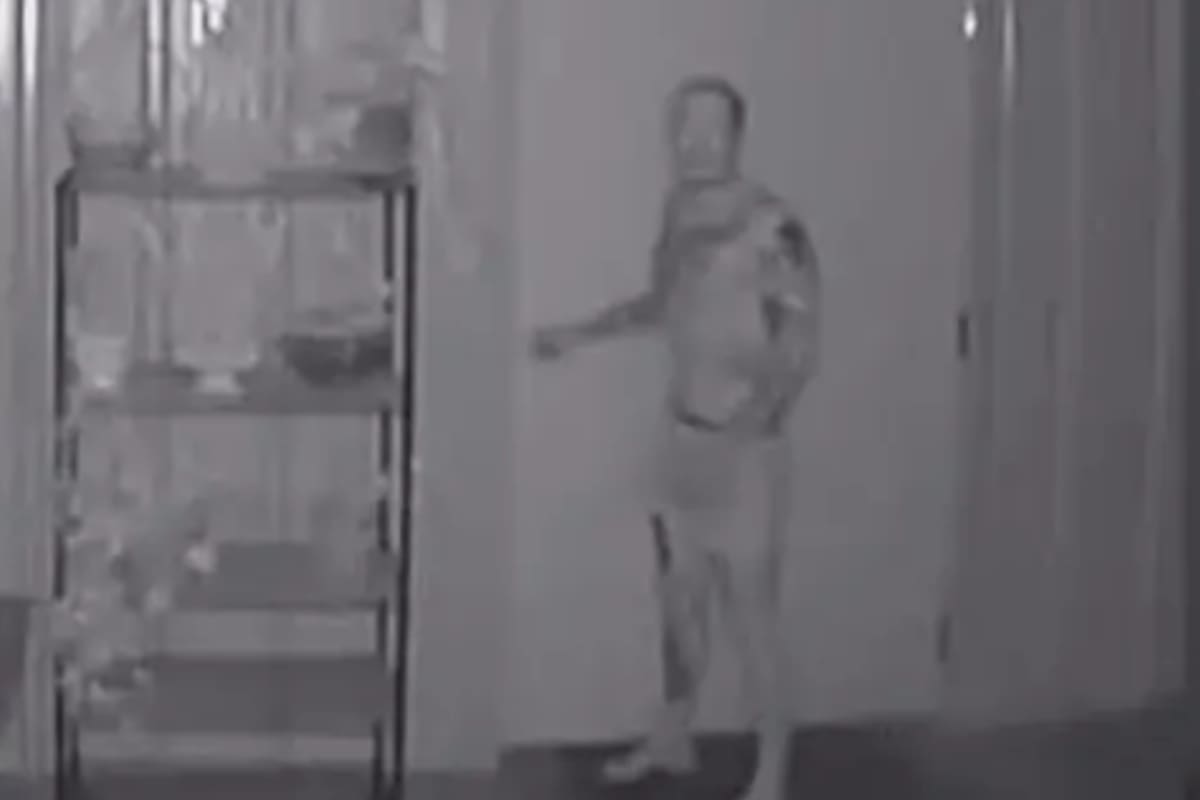 La historia se volvió viral en las redes sociales (Foto: White County Arkansas Sheriff Dept)