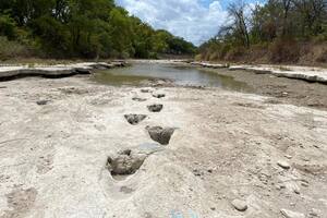 La histórica sequía en Texas dejó al descubierto increíbles rastros de dinosaurios en un parque estatal