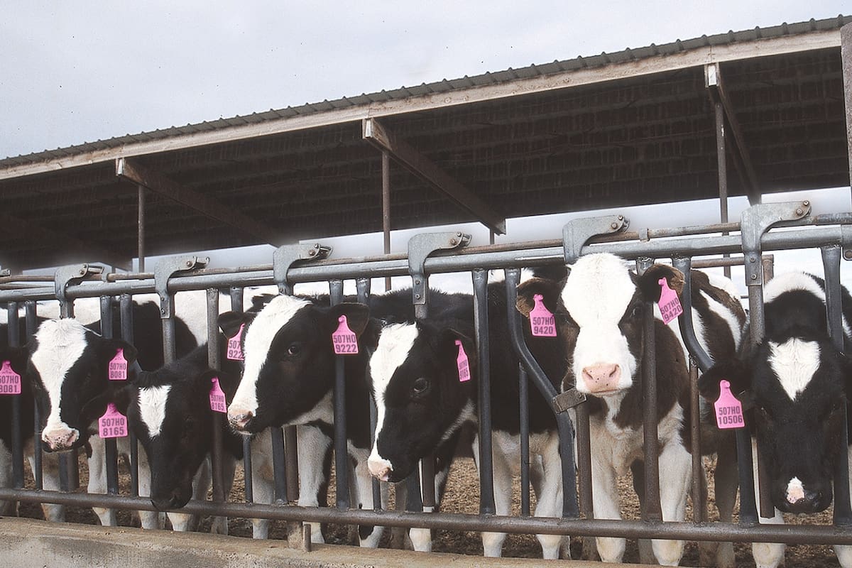 La hoja de ruta para chequear el funcionamiento correcto de un tambo