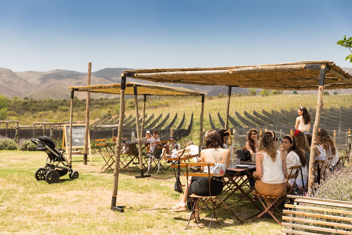 La hora del almuerzo en Nébula: buena mesa junto a un viñedo en La Cumbre.
