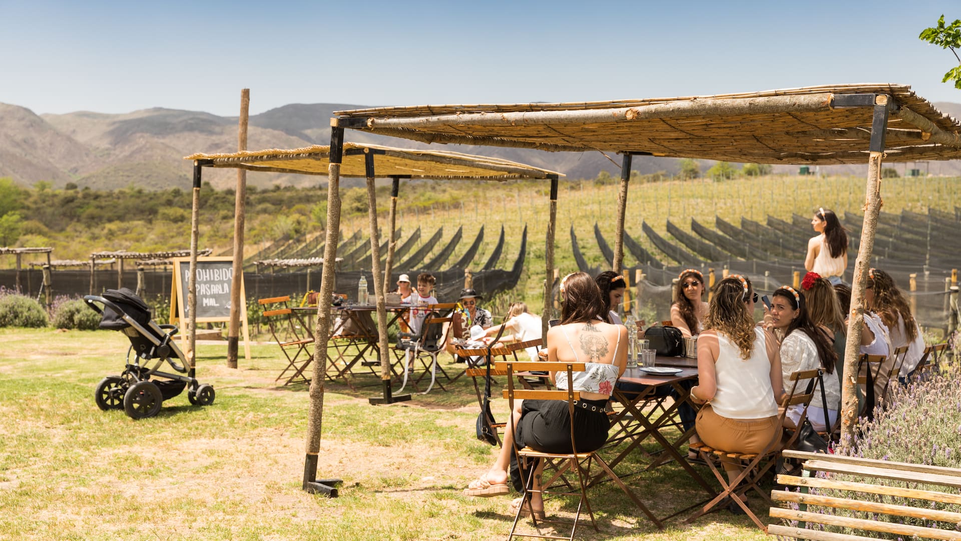 La hora del almuerzo en Nébula: buena mesa junto a un viñedo en La Cumbre.