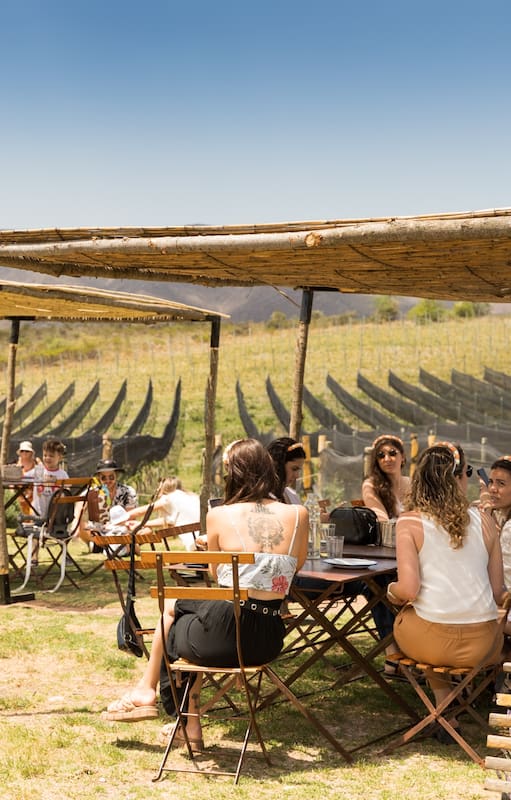 La hora del almuerzo en Nébula: buena mesa junto a un viñedo en La Cumbre.