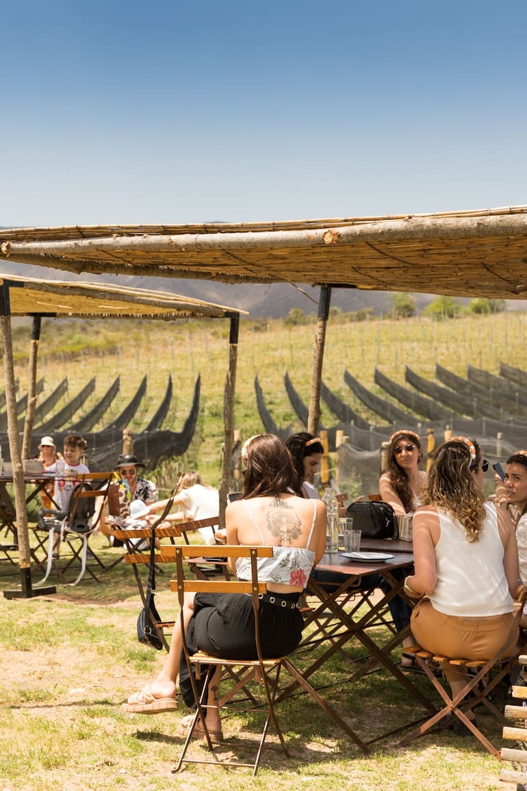 La hora del almuerzo en Nébula: buena mesa junto a un viñedo en La Cumbre.